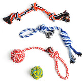 TwoEar dog rope toy set in action during a lively tug session for small breeds.