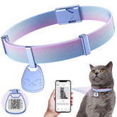 Typecase cat collar with QR code tag for quick recovery and lightweight wear.