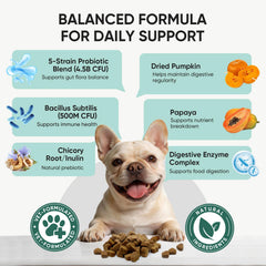 TzzyiC probiotics chews label close-up highlights premium ingredients