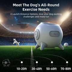 uahpet ball launcher in random mode creating varied play