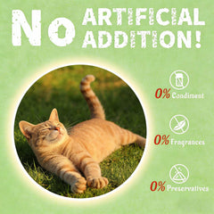 UBIETY crunchy-texture cat grass treats support dental care during snacking.