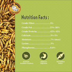 UCM Group BSFL immunity-support snack for backyard birds