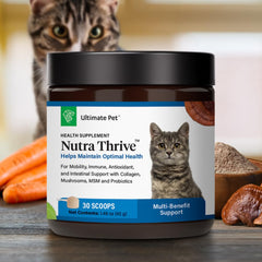 Nutra Thrive probiotics and digestive enzymes promote gut comfort and digestion readiness