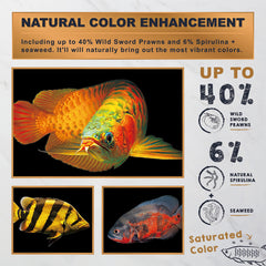 Natural coloration from Ultra Fresh Monster Fish Food with seaweed and spirulina enhancing color.