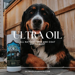 Ultra Oil Skin & Coat cat meal mix promotes glossy fur during meals.