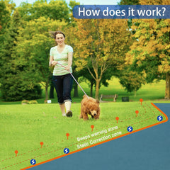 UltraCrab Basic two collars shown for two dogs with reliable boundary training.