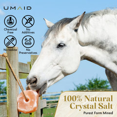 UMAID Himalayan Salt Lick on rope for goats; tasty minerals.