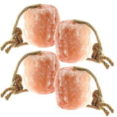UMAID Himalayan salt lick on rope close-up shows mineral-rich surface for livestock