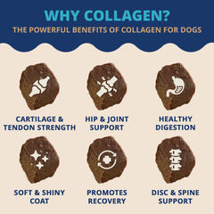 Under The Weather collagen chews for dogs aiding digestion and gut health