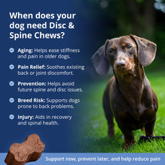 Under The Weather Disc & Spine Chews ingredients: chondroitin, MSM, turmeric.