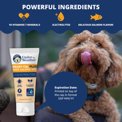 Gel directly dosed into a dog's mouth for easy feeding.