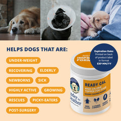 Under the Weather Ready Cal Powder gravy mix creates a savory sauce your dog enjoys