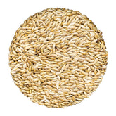 Unida canary seed bulk bag displaying pure, additive-free nutrition for small birds.