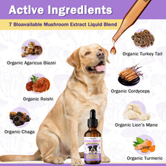 Unipomme liquid dosing for dogs, easy administration shown.