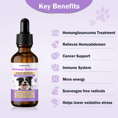 Unipomme turmeric dog ingredient close-up emphasizing antioxidant support.