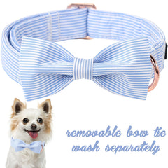 Unique Style Paws soft cotton collar for everyday comfort and skin-friendly wear.