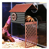 UNISOLODECHO hermit crab climbing wall panoramic view for easy observation