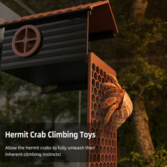 UNISOLODECHO hermit crab safe non toxic materials protect delicate claws