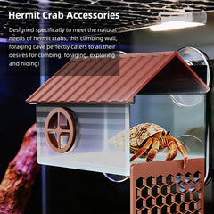 UNISOLODECHO hermit crab wall installation suction cups ensure tool free mounting