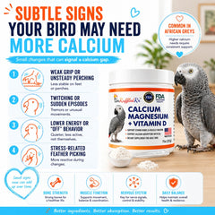 UnRuffledRx Bird Calcium Plus with D3 promotes mineral absorption and muscle support in birds.