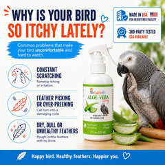 UnRuffledRx Aloe Vera Bird Spray after use with smoother feathers.