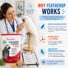 UnRuffledRx FeatherUp mixing-with-food scene showing easy incorporation into meals.