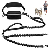 Uppetly hands-free double dog leash with pouch for convenient two-dog walks.