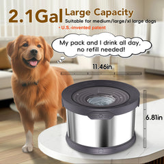 Upsky slow-drinking design prevents splashes and mess for energetic dogs.