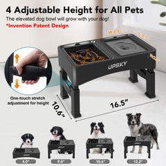 UPSKY four-height adjustable stand demonstrates height options for different sizes.