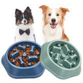 UPSKY slow feeder bowl blue-green full view promotes slower eating