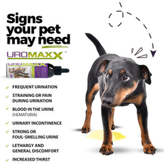 UroMAXX bottle pour demonstrates easy dosing for busy pet owners.