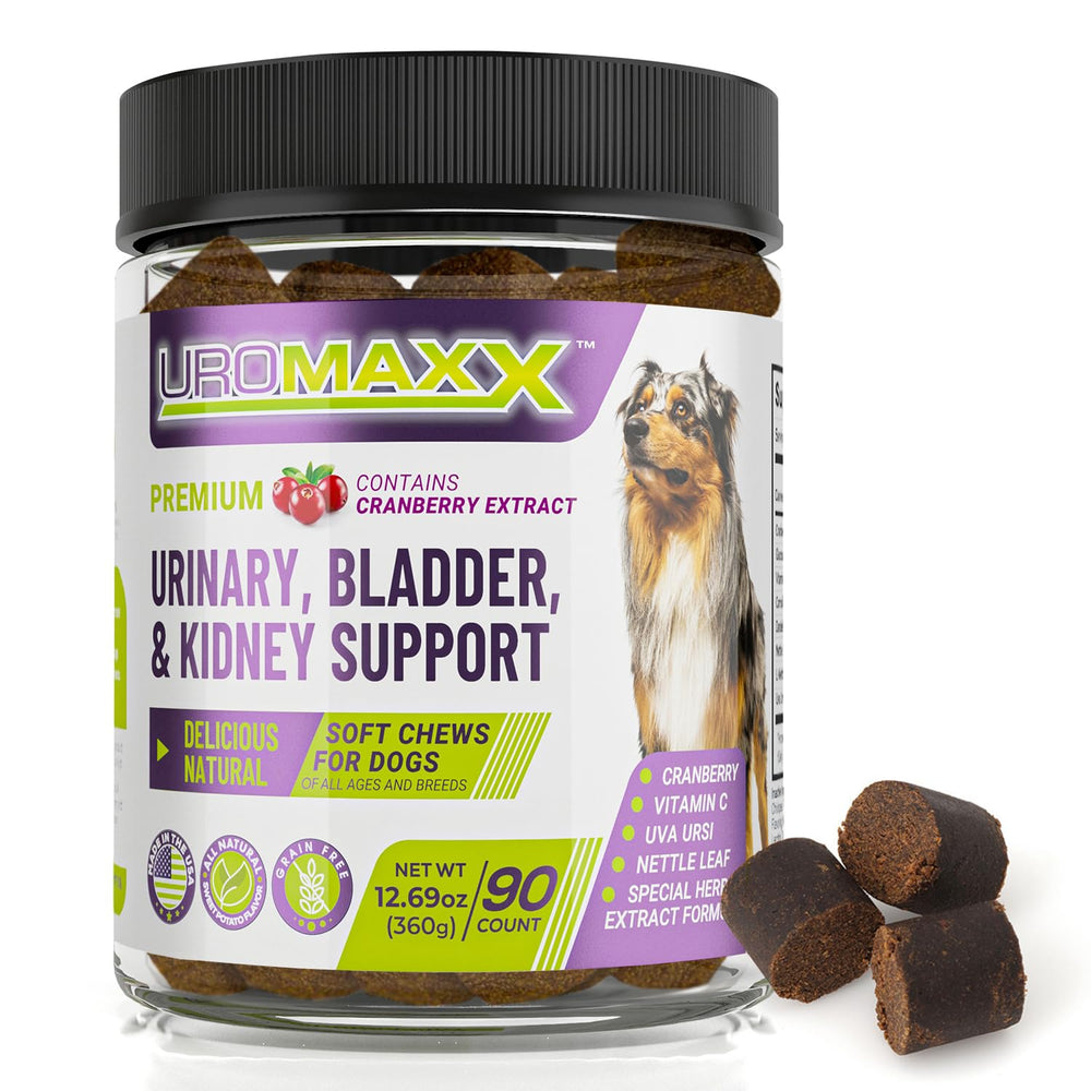 UroMAXX dog soft chews bottle showing convenient urinary support for daily use.