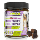 UroMAXX dog soft chews bottle showing convenient urinary support for daily use.