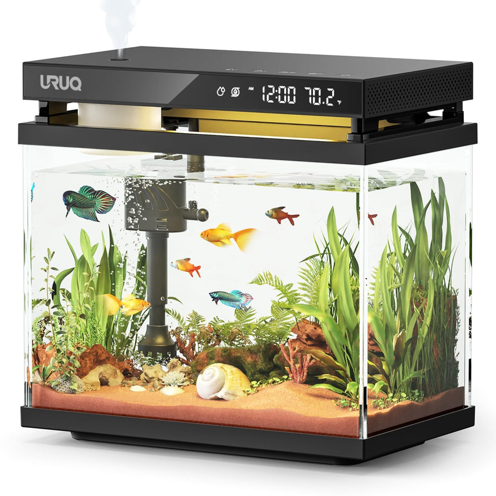 URUQ Fish Tank front view, compact 2-gallon setup for small spaces.