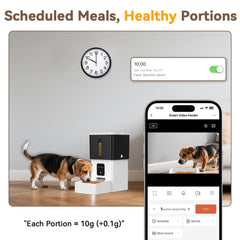 UTCG timer and daily schedule display