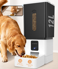 UTCG large breed feeder front view showing sturdy design for daily meals