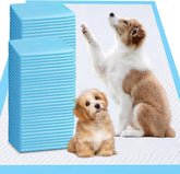 UYDJKLS XXXL puppy pads 31x47 for training and floor protection.