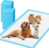UYDJKLS XXXL puppy pee pads 31x55 pack shot for training and floor protection.
