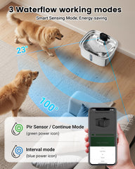Vacqueen three-mode fountain for customized drinking patterns