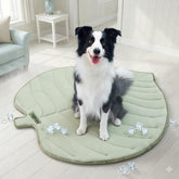 Vagascape Dog Cooling Mat with flower design provides a refreshing rest for pets.