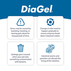 DiaGel large dog palatable gel aids easy oral dosing for dogs