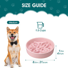 Vancasso ceramic bowl with anti-slip base for stable feeding.