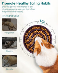 Vancasso slow feeder bowl in dark purple adds style while guiding gentle eating.