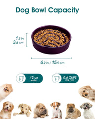 Vancasso puzzle design bowl for dogs encourages slower eating during meals.