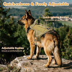 VavoPaw harness featuring built-in name card pocket for pet ID.