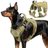 VavoPaw heavy-duty harness for large dogs with front D-ring for no-pull control.