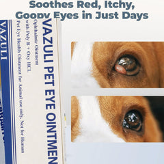 VAZULI Eye Cream application cat, convenient routine for pet eye area.