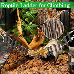 VCEPJH Easy install bearded dragon ladder simplifies terrarium setup