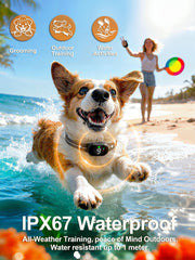 Veconix collar in vibration mode, gentle response for calm behavior.