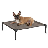 Veehoo cooling elevated dog bed assembled, ready for indoor use and setup